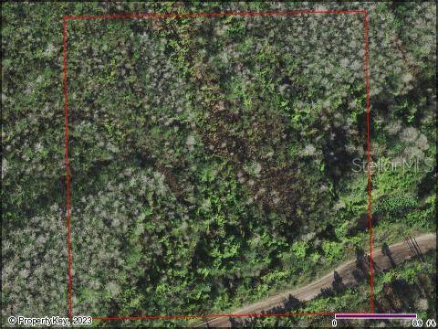 HOLOPAW GROVES RD, Saint Cloud, FL 34771