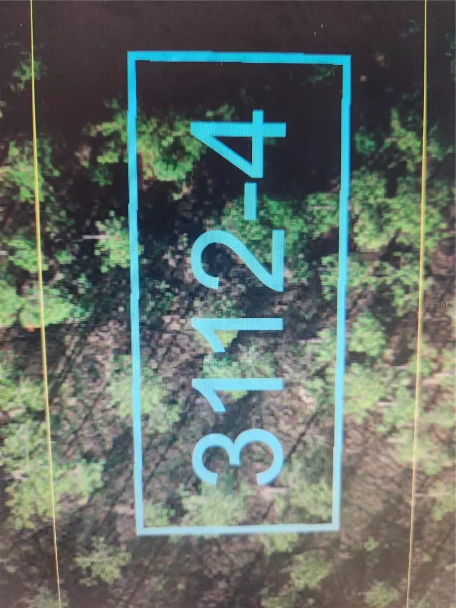 Saint Cloud, FL 34771,HOLOPAW GROVES RD