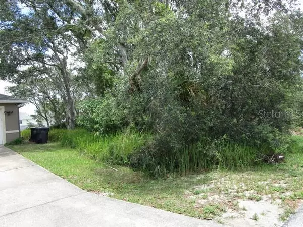 Poinciana, FL 34759,161 CONCH DR