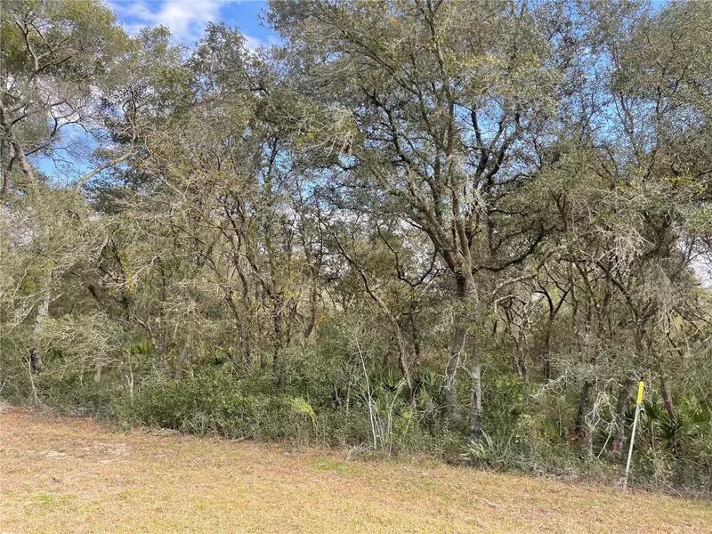 0 MARION OAKS BLVD., Ocala, FL 34473
