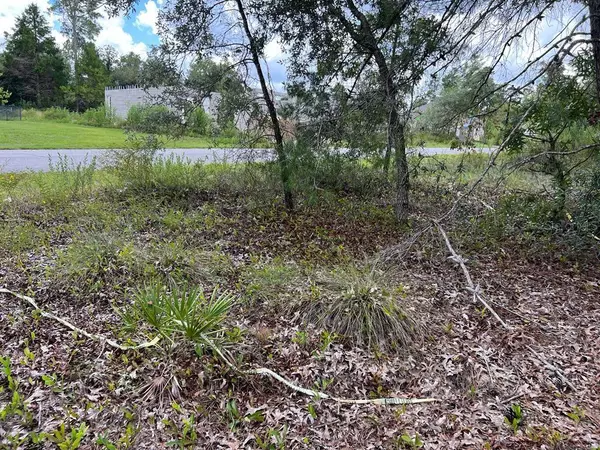 Homosassa, FL 34446,3 LUPINE ST