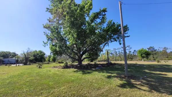 20809 FORT CHRISTMAS RD, Christmas, FL 32709