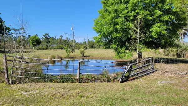 Christmas, FL 32709,20809 FORT CHRISTMAS RD