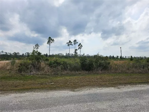 Indian Lake Estates, FL 33855,401 CALENDULA DR