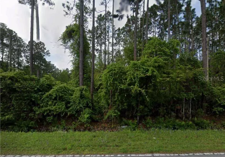 Palatka, FL 32177,543 PALMETTO BLUFF