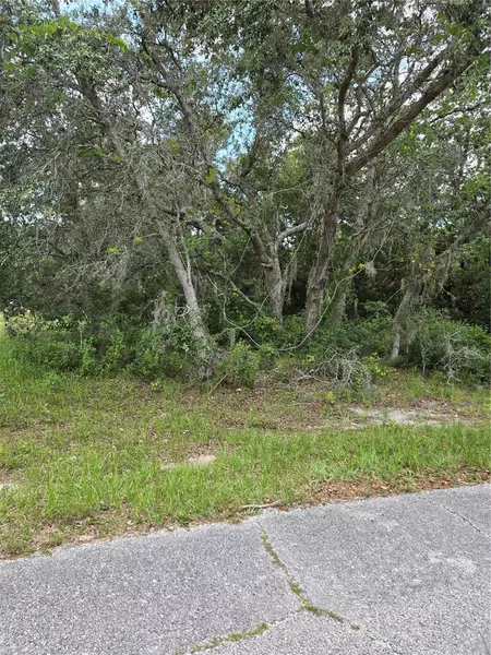 MEDITERRANEAN CT, Poinciana, FL 34759