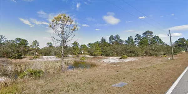 Weeki Wachee, FL 34613,10383 FULTON AVE