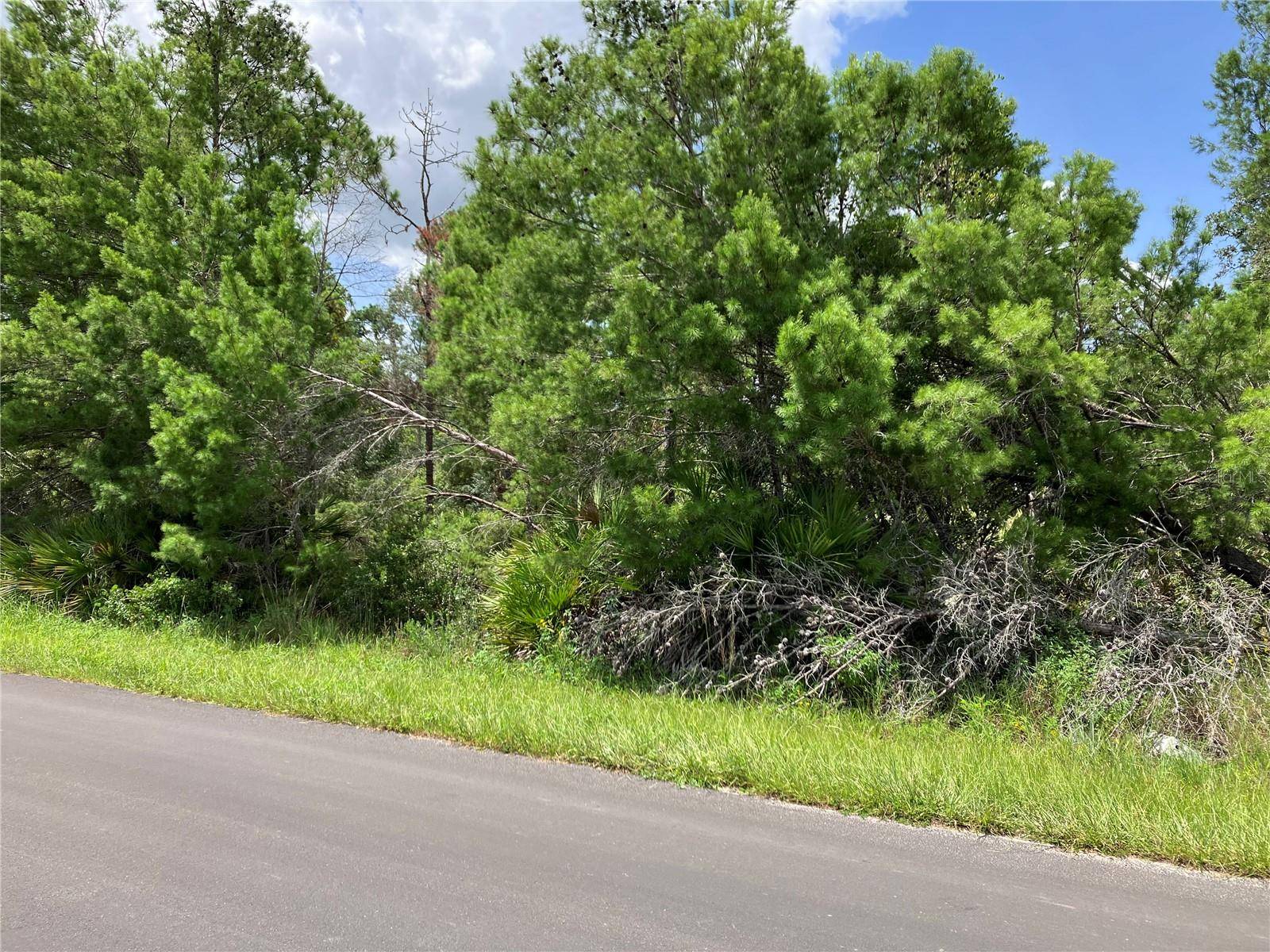 FOREHAND RD,  Davenport,  FL 33896