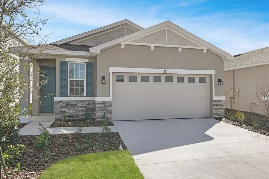 203 BULL FROG LN, Umatilla, FL 32784