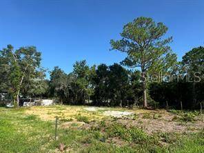 LAKE MARION CREEK RD, Haines City, FL 33844