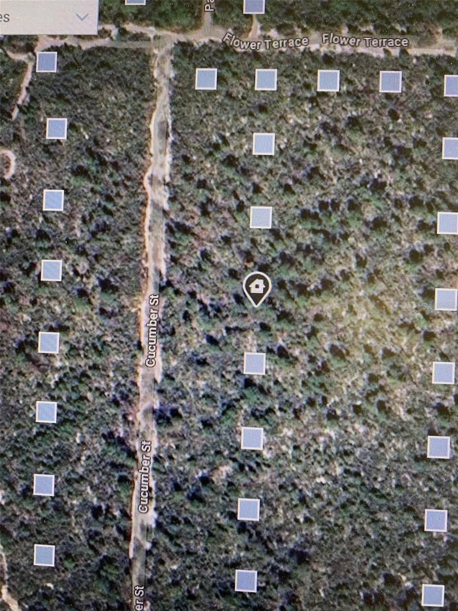 Sebring, FL 33875,5314 CUCUMBER ST