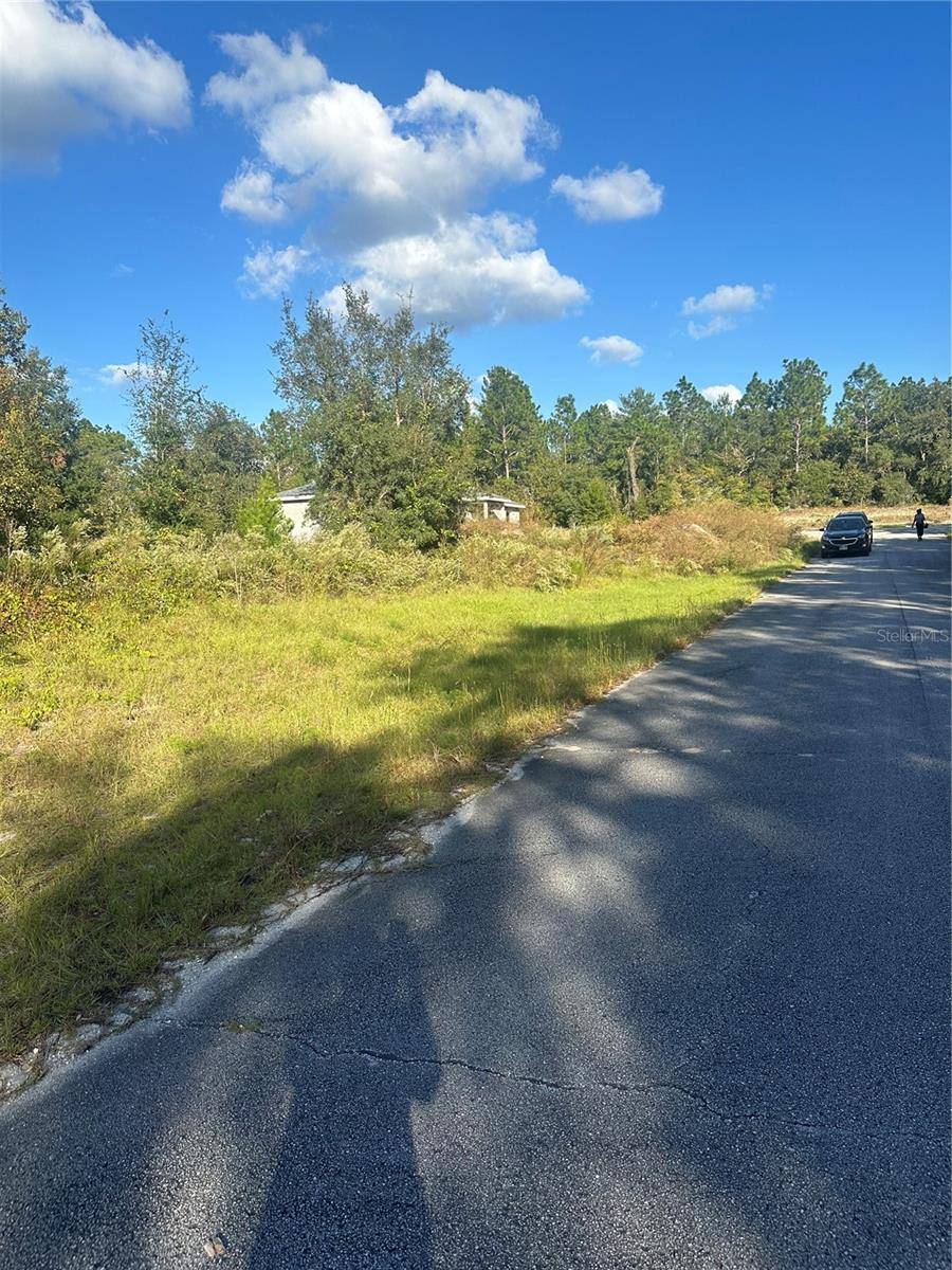 Dunnellon, FL 34432,UNDETERMINED RD