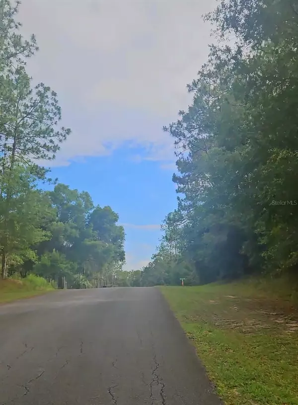 Dunnellon, FL 34431,SOUTHWEST 206TH COURT RD