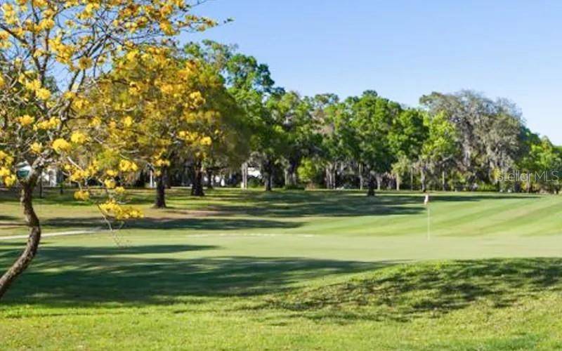 Temple Terrace, FL 33617,407 BELVEDERE OVAL