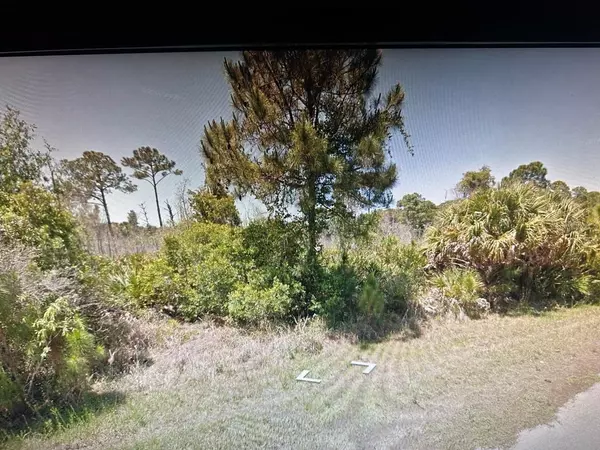 Port Charlotte, FL 33953,203 MONTANA ST