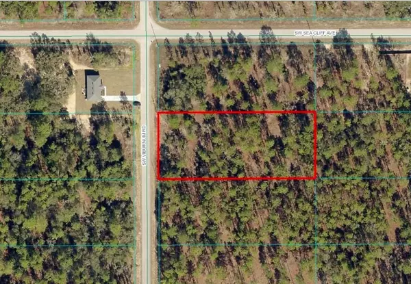 Dunnellon, FL 34431,TBD LOT 39 SW VIBEURNUM RD