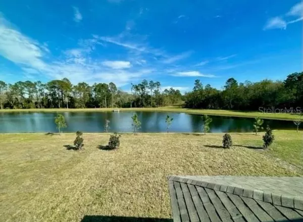 Clermont, FL 34714,16364 WINDING PRESERVE CIR