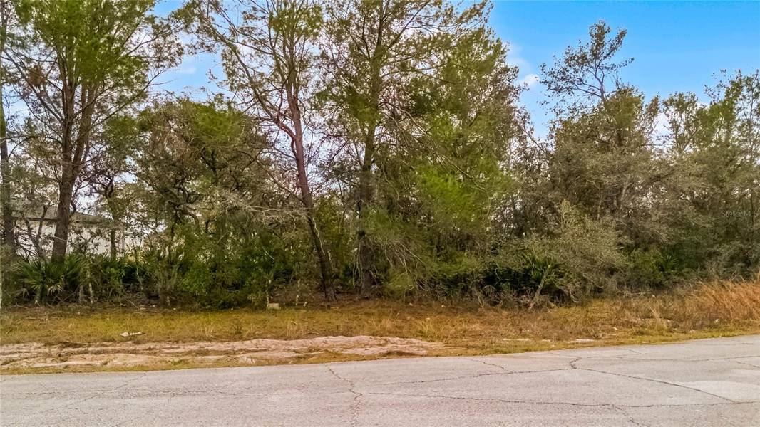 614 ALAFIA PL, Kissimmee, FL 34759