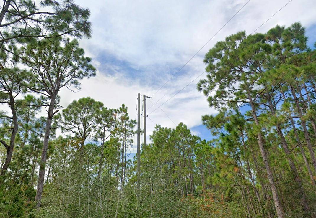 Panacea, FL 32346,337 LEVY BAY RD