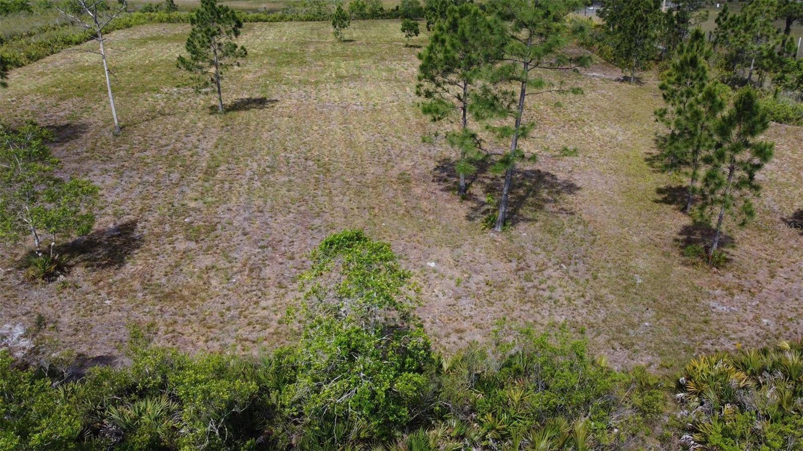 St Cloud, FL 34773,MUSE RD