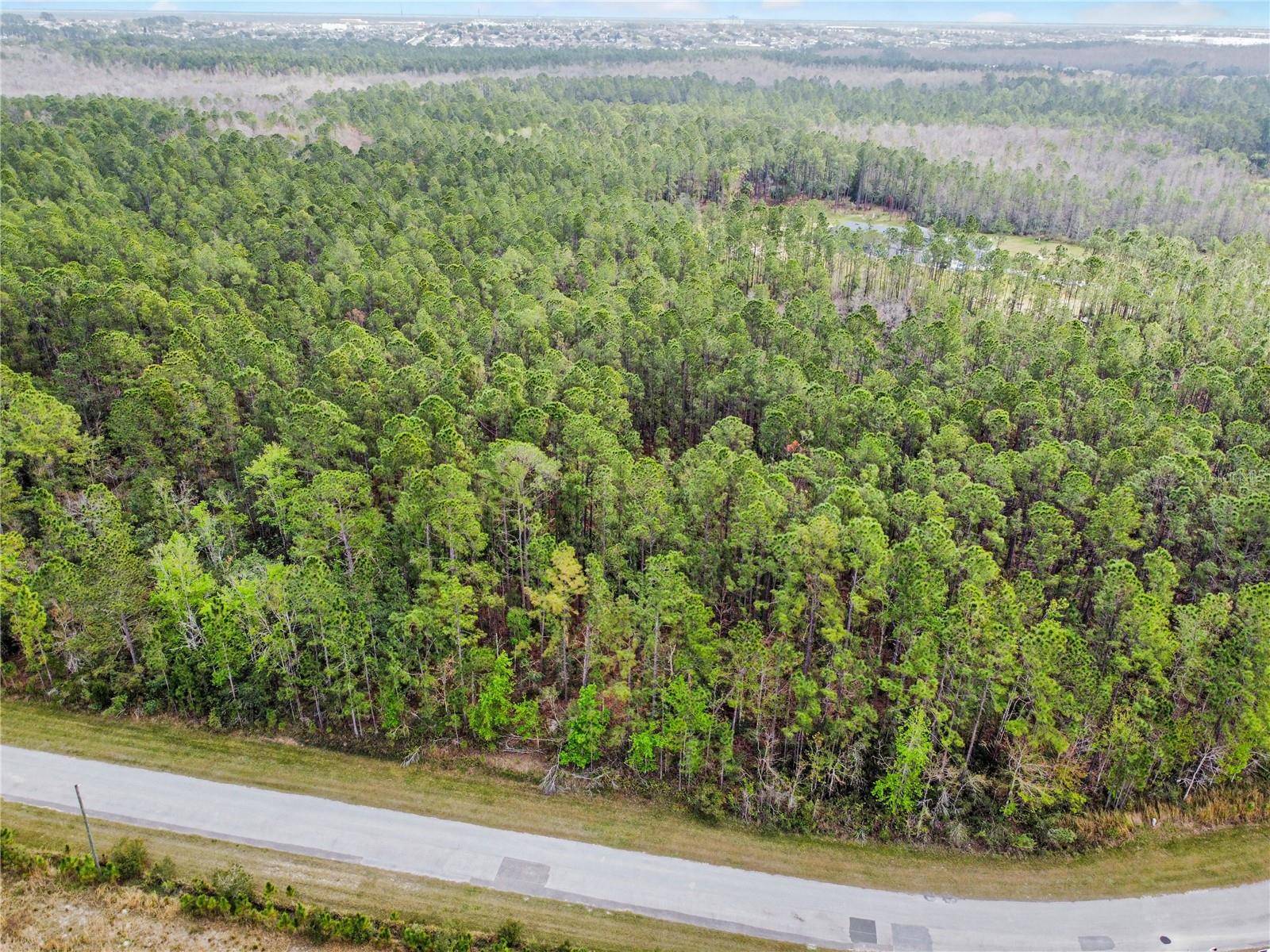 Davenport, FL 33897,1102 HIDDEN PALMS DR