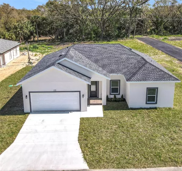 Davenport, FL 33837,110 ALTA VISTA WAY