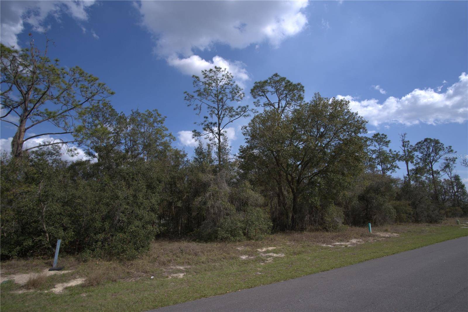 Poinciana, FL 34759,1340 CONGO CT