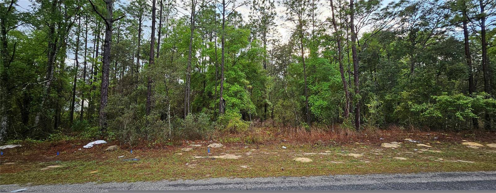 Citrus Springs, FL 34434,9572 N SANDREE DR