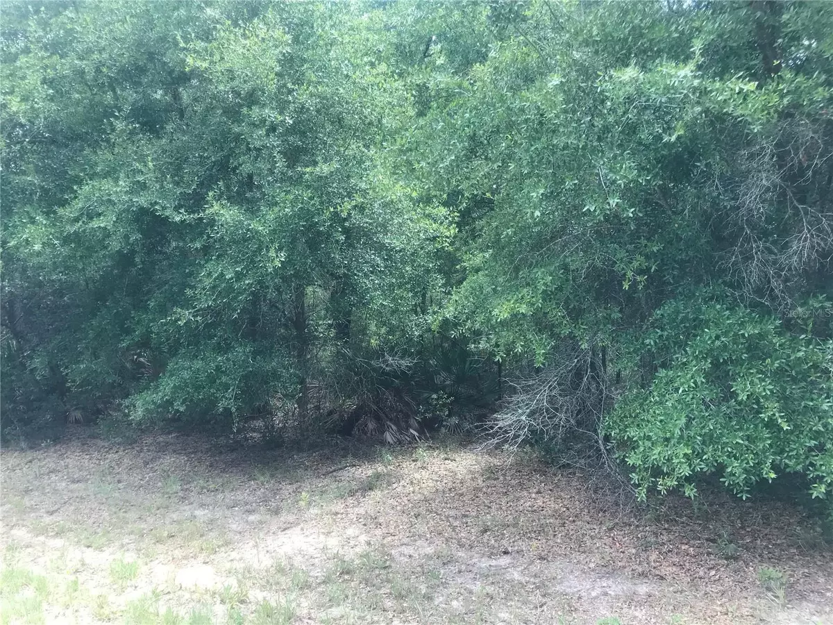 Citrus Springs, FL 34434,10161 N DYAL DR