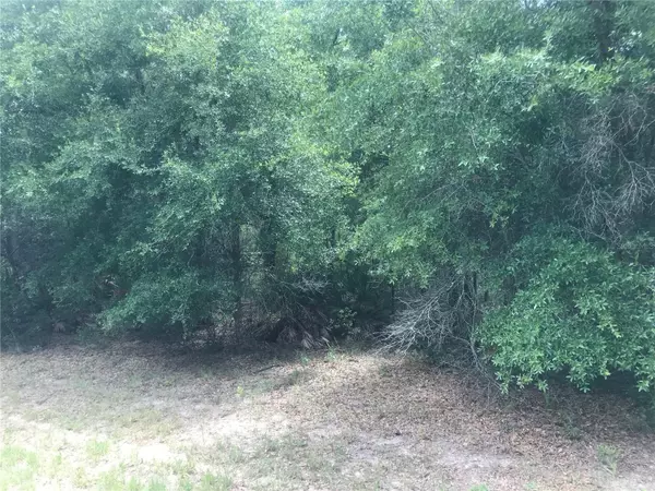 10161 N DYAL DR, Citrus Springs, FL 34434