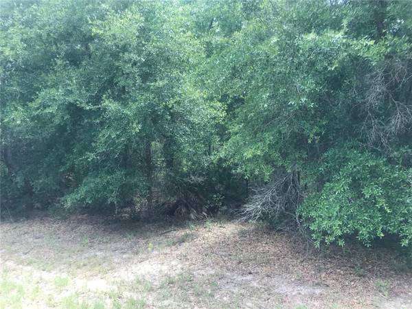 10161 N DYAL DR, Citrus Springs, FL 34434