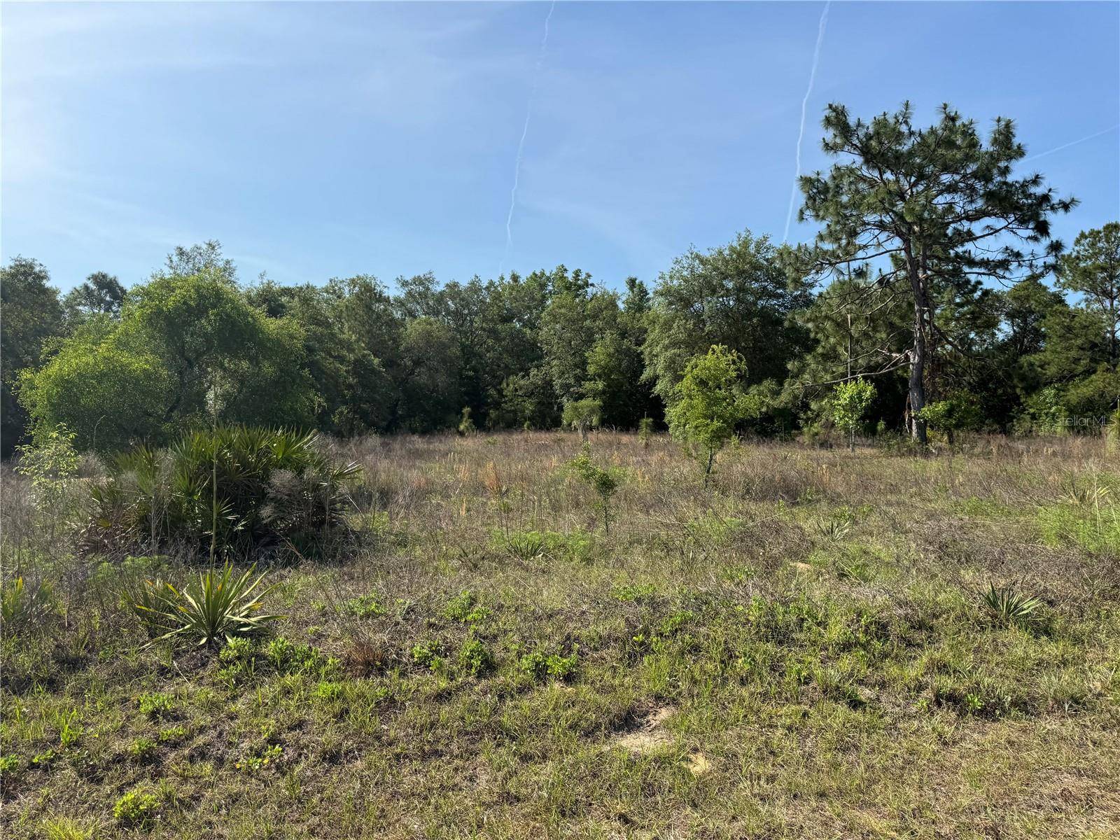 Dunnellon, FL 34432,Lot 1 SW 65TH LOOP
