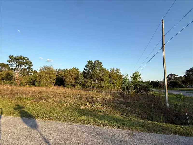 Lot 1 SW 65TH LOOP, Dunnellon, FL 34432