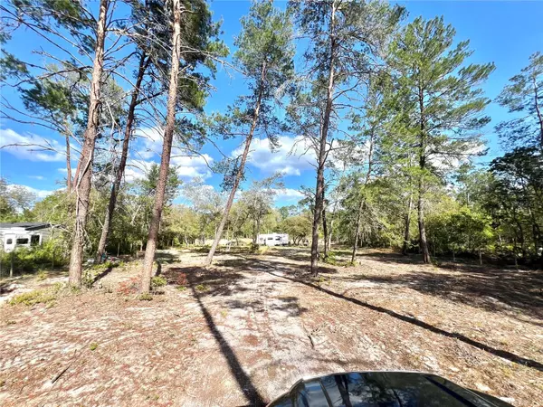 Georgetown, FL 32139,104 OLEANDER LN