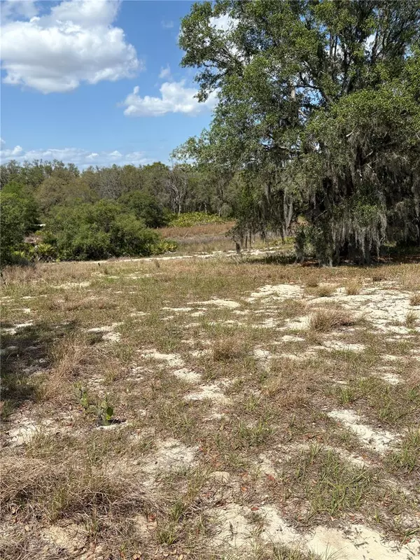 0 DICKS RD, Babson Park, FL 33827