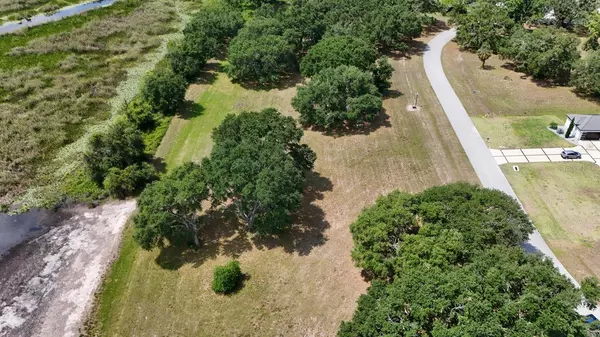 Groveland, FL 34736,ROYAL PALM DR #Lot 34