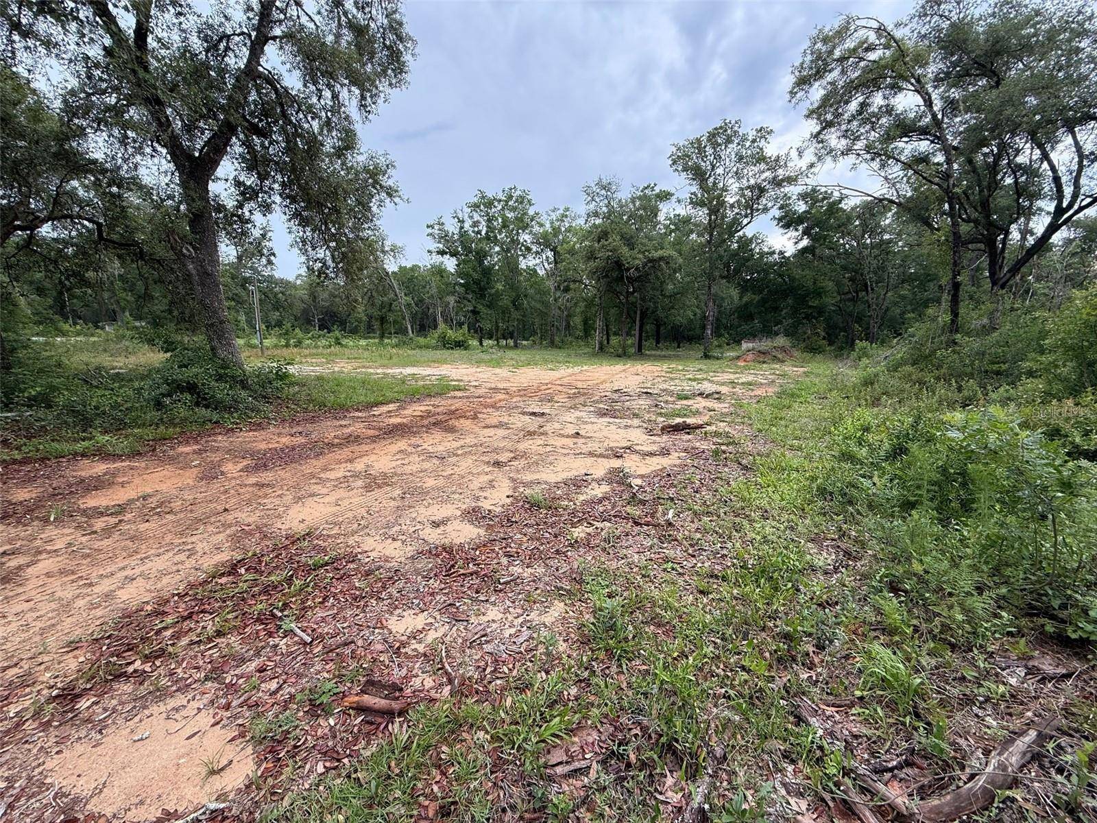 Dunnellon, FL 34432,10155 SW 158TH LN