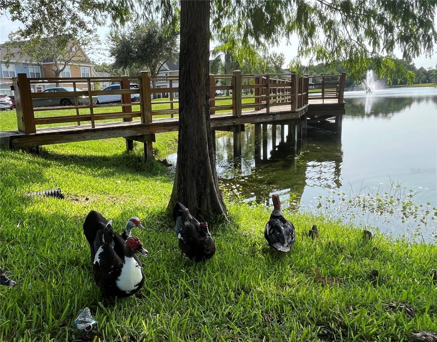 Kissimmee, FL 34741,4008 SAN GALLO DR #106