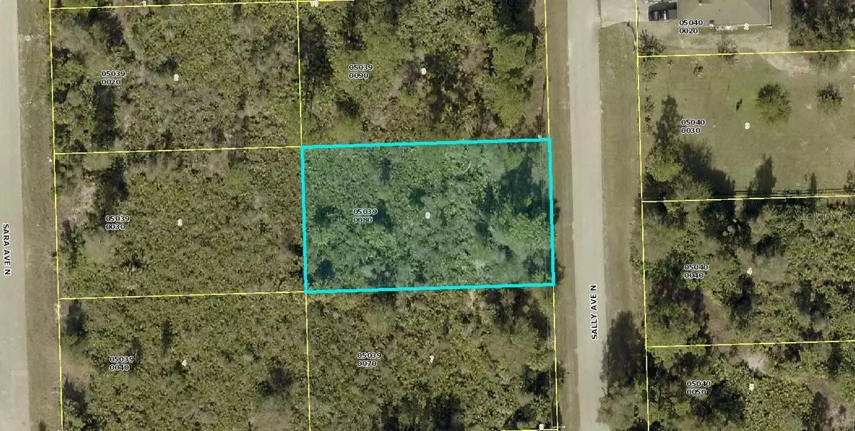 Lehigh Acres, FL 33971,6005 SALLY AVE N