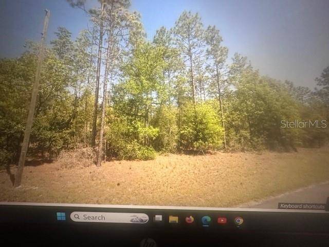 Dunnellon, FL 34431,0 SW 207 CT