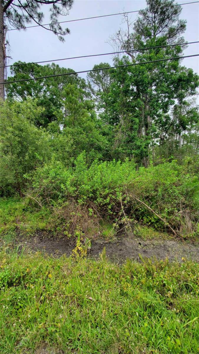 Deland, FL 32724,1395 10TH AVE