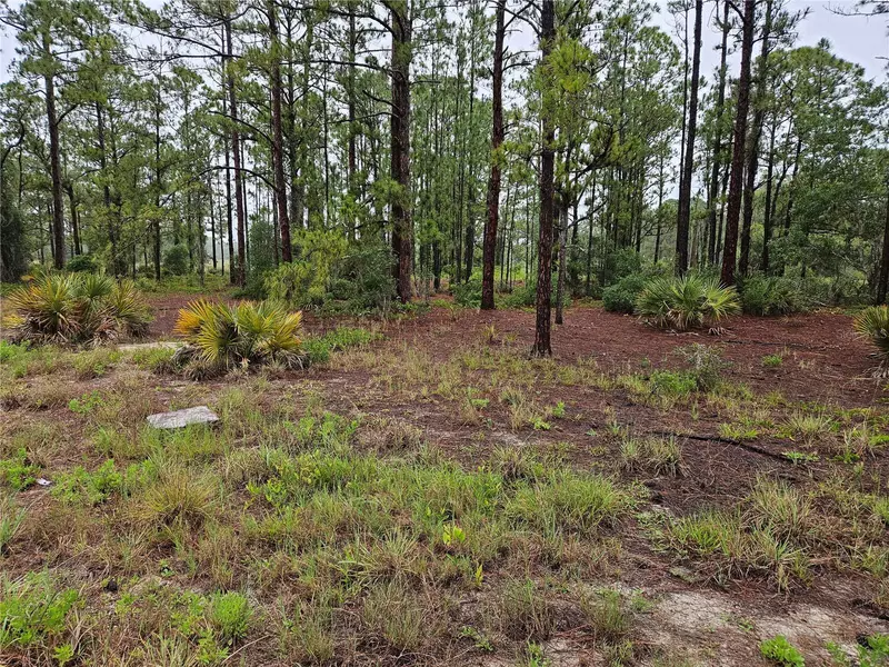 308 SUNFLOWER AVE, Lake Placid, FL 33852