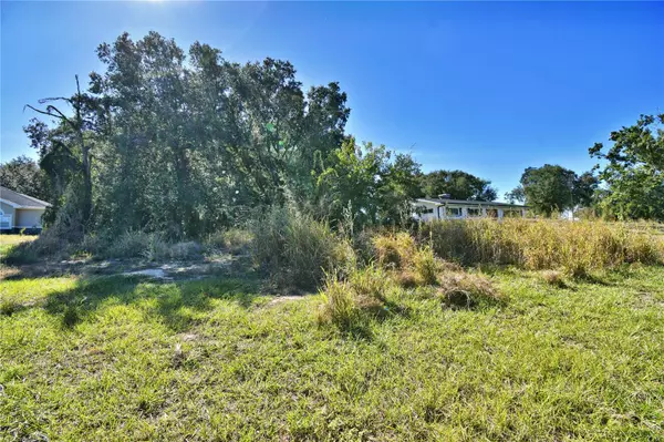 Lake Wales, FL 33898,LAKE MABEL LOOP RD