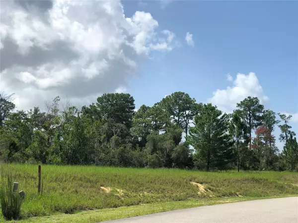 1005 HAWKS LANDING DR, Sebring, FL 33875