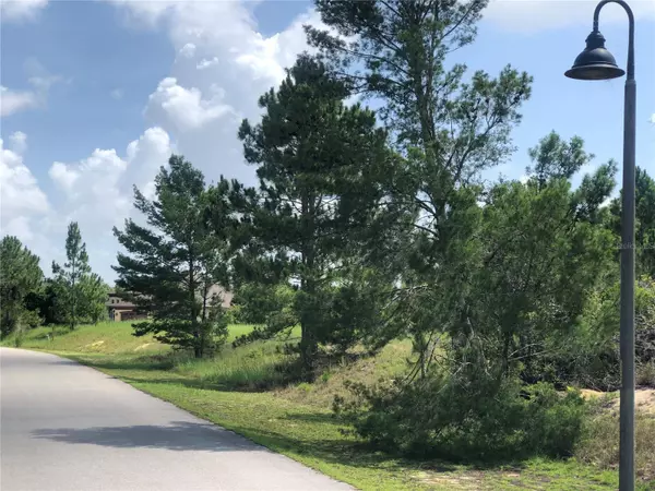 Sebring, FL 33875,1005 HAWKS LANDING DR