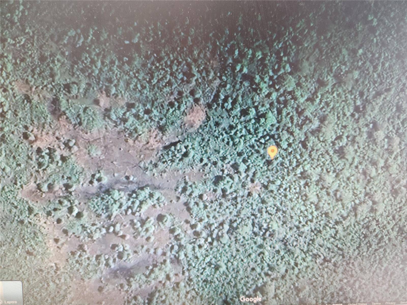 HOLOPAW GROVES RD, St Cloud, FL 34771