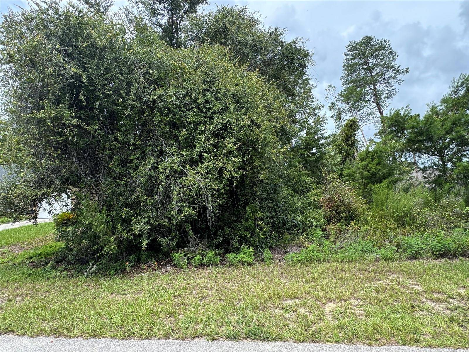 SW TBD 146 LOOP, Ocala, FL 34473