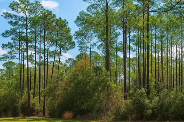 Georgetown, FL 32139,202 TAMARAC CT
