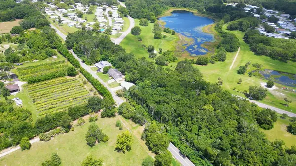 Zellwood, FL 32798,3805 COHEN DR