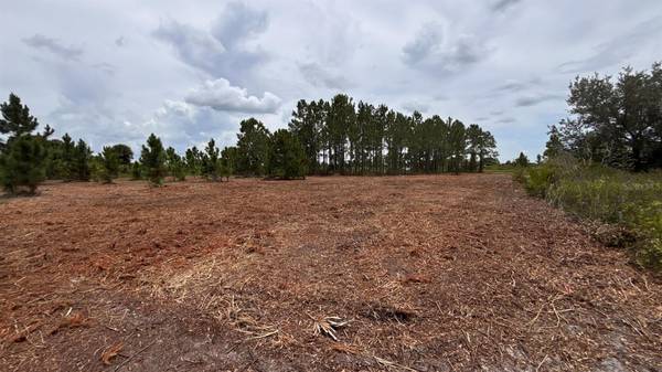 18121 NW 304TH ST, Okeechobee, FL 34972